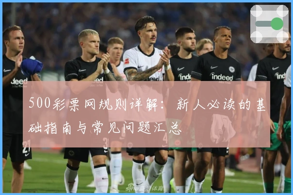500彩票网规则详解：新人必读的基础指南与常见问题汇总