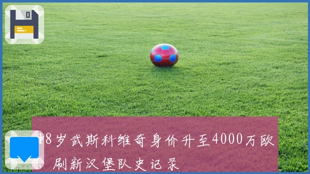 18岁武斯科维奇身价升至4000万欧，刷新汉堡队史记录